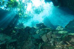 Choc-Mool Cenote near Playa Del Carmen, Mexico. Nikon D2x... by Dale Hymes 